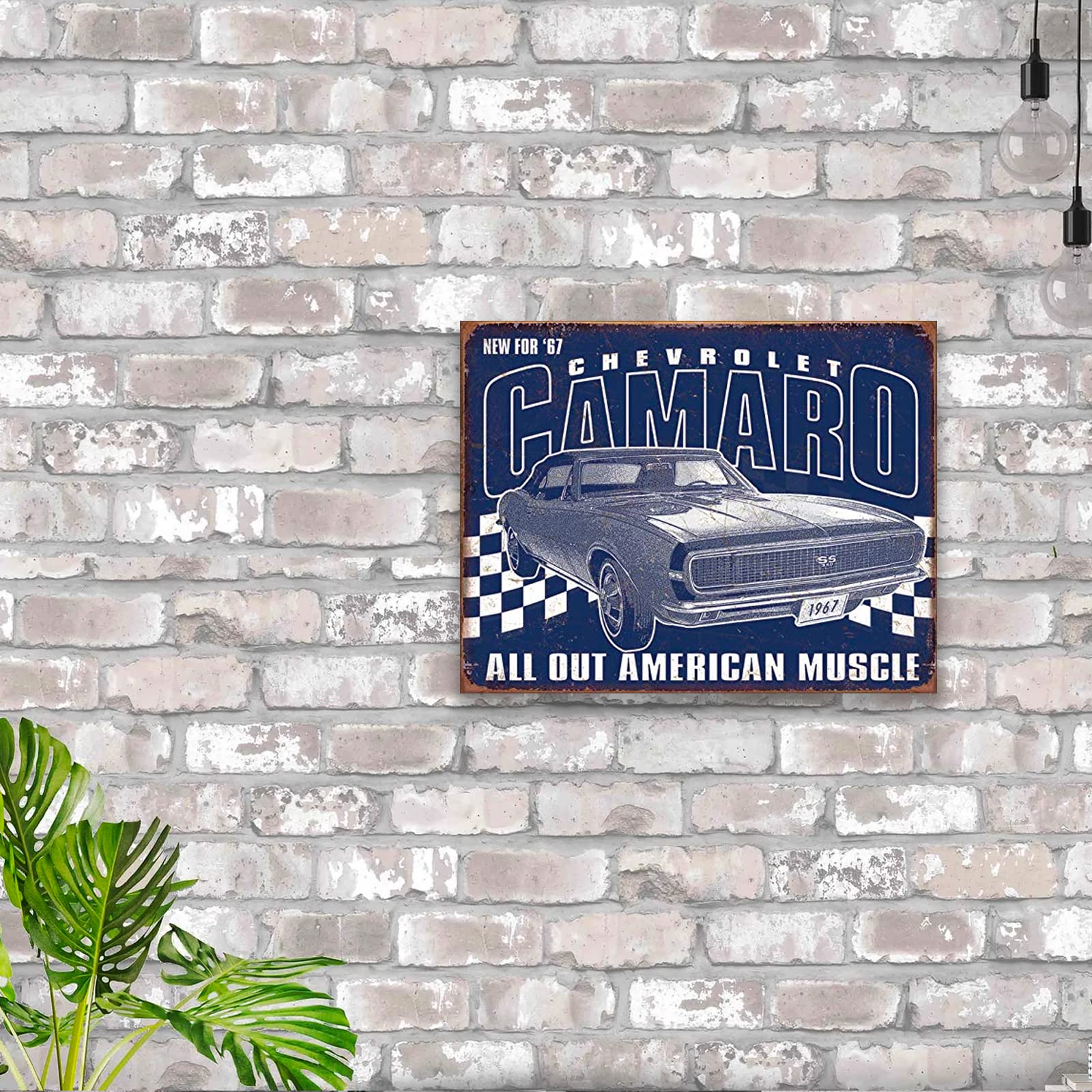 Amazon.com: Desperate Enterprises Chevrolet Camaro - 1967 Muscle