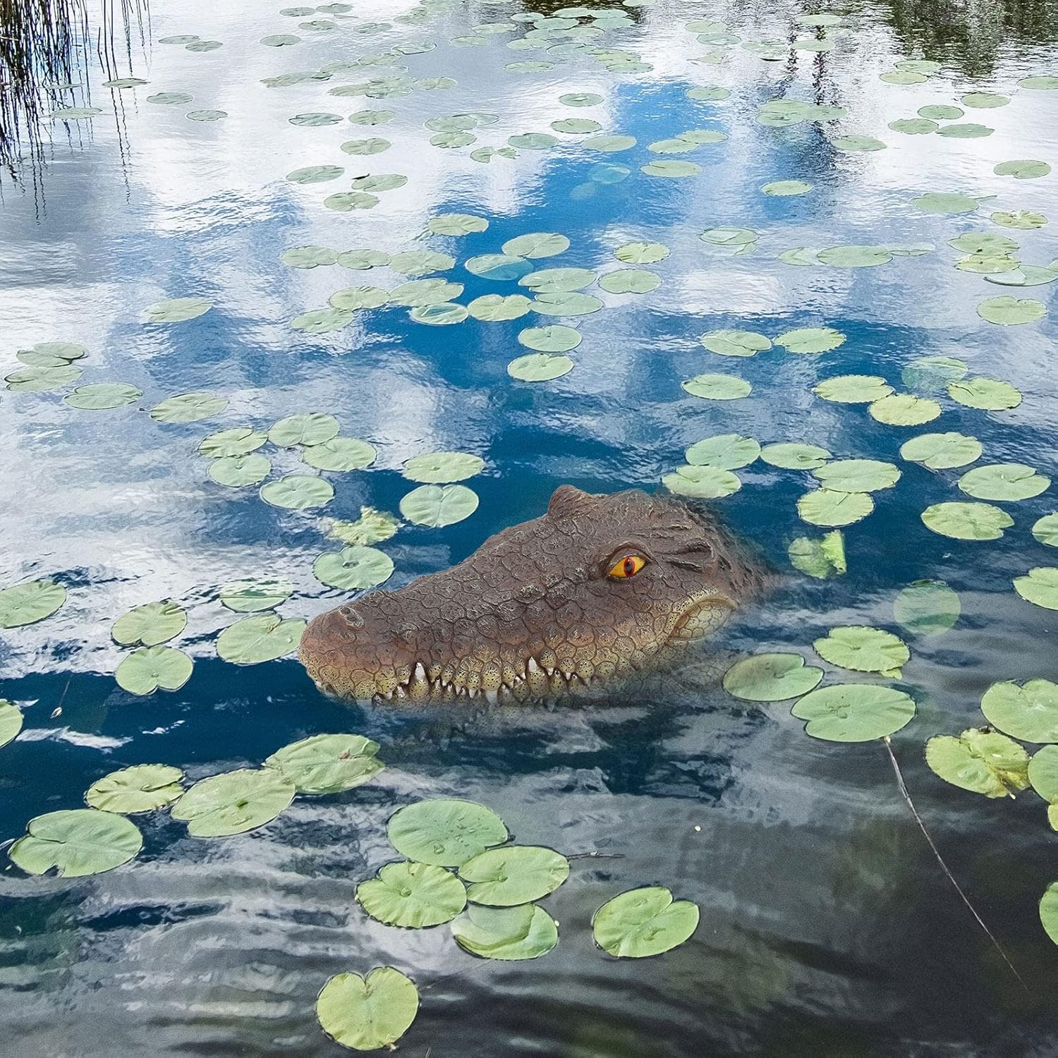 Tête de crocodile flottante