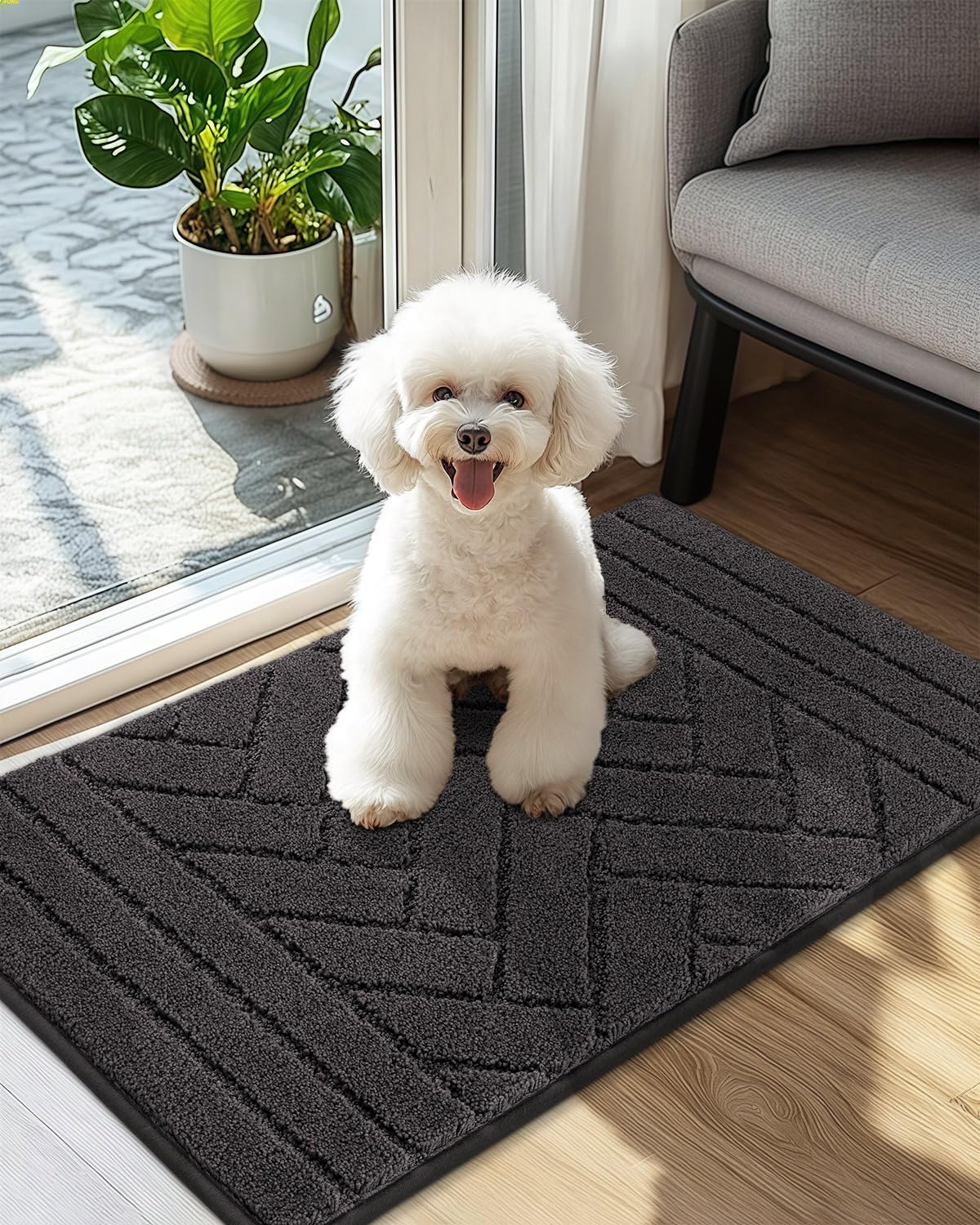 Biscpro Felpudo Interior 50x80cm Lavable Antideslizante Absorbente de Agua Alfombra de Entrada Alfombra para Perros Felpudo para Perro Entrada Puerta de Casa Pasillo-Gris Charbon