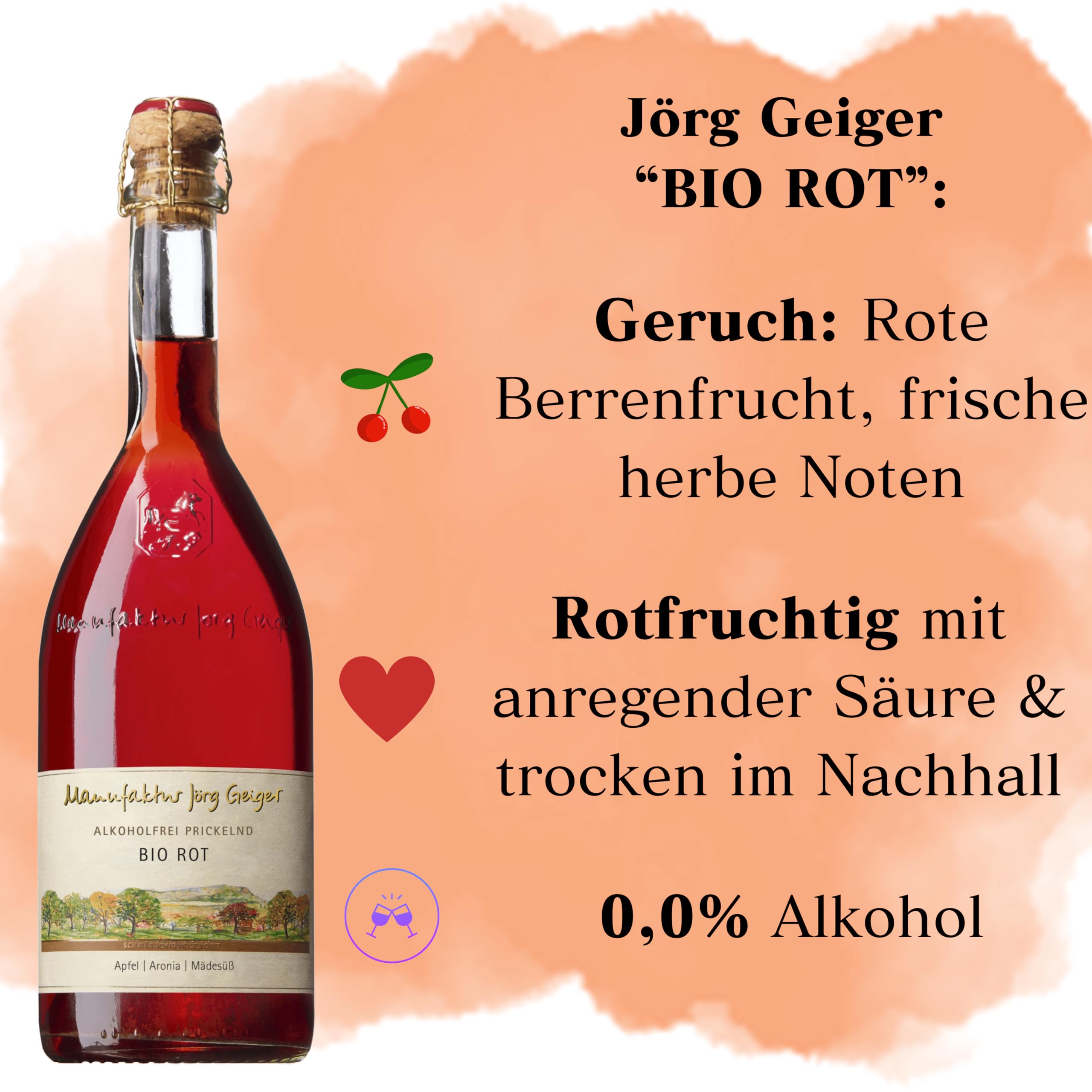 Jörg Geiger Alkoholfrei Probierpaket – 6x Bio Fruchtsecco Prickelnd – Klassik Auswahl – inkl. Gratis Sektverschluss – Geschenkset alkoholfrei