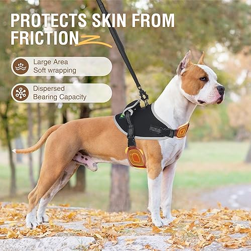 Vista 21 de Coderas para perros para callos, úlceras por presión y dislocación de hombro, soporte para codo y hombro canino para perro, soporte para pierna