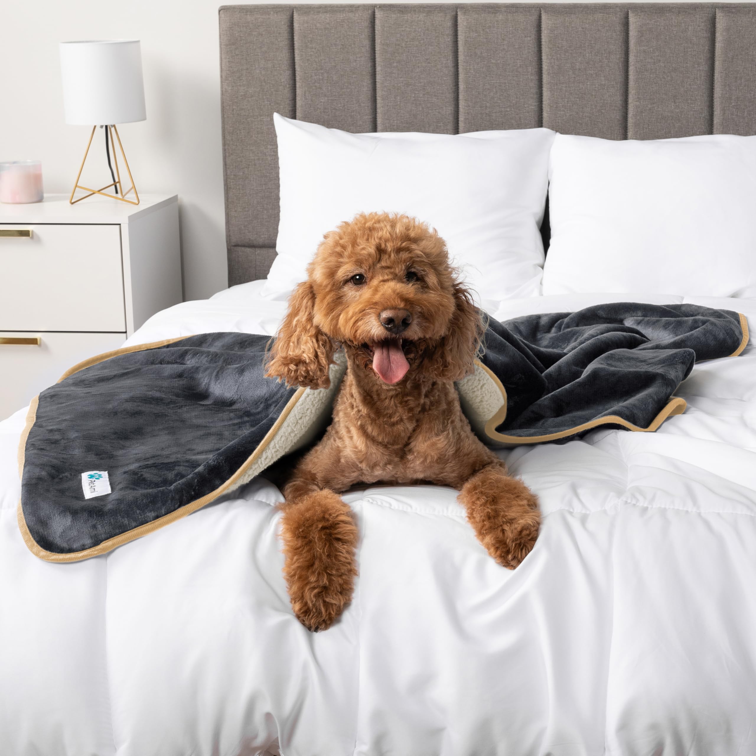 Amazon.com : PetAmi Waterproof Dog Blanket Puppy Cat Large Couch