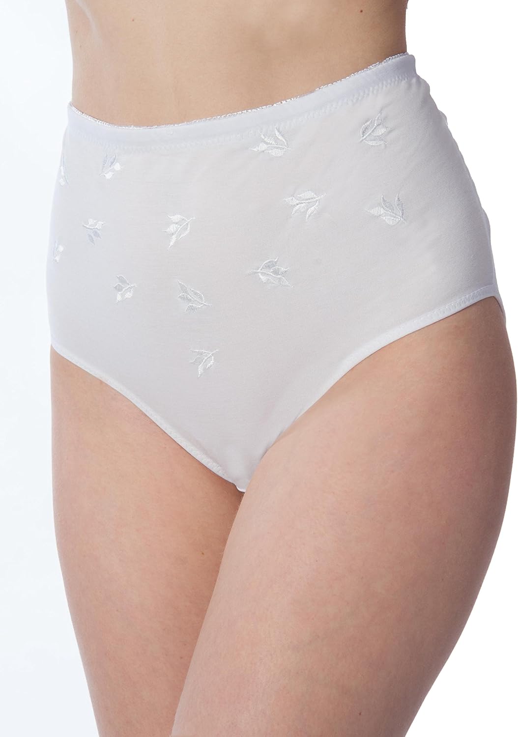 RUFINA #3345 - Pack of 3 - Women's Plus Size Full Brief Panties Underwear Silky Soft Comfort Pattern Breathable - Image 5