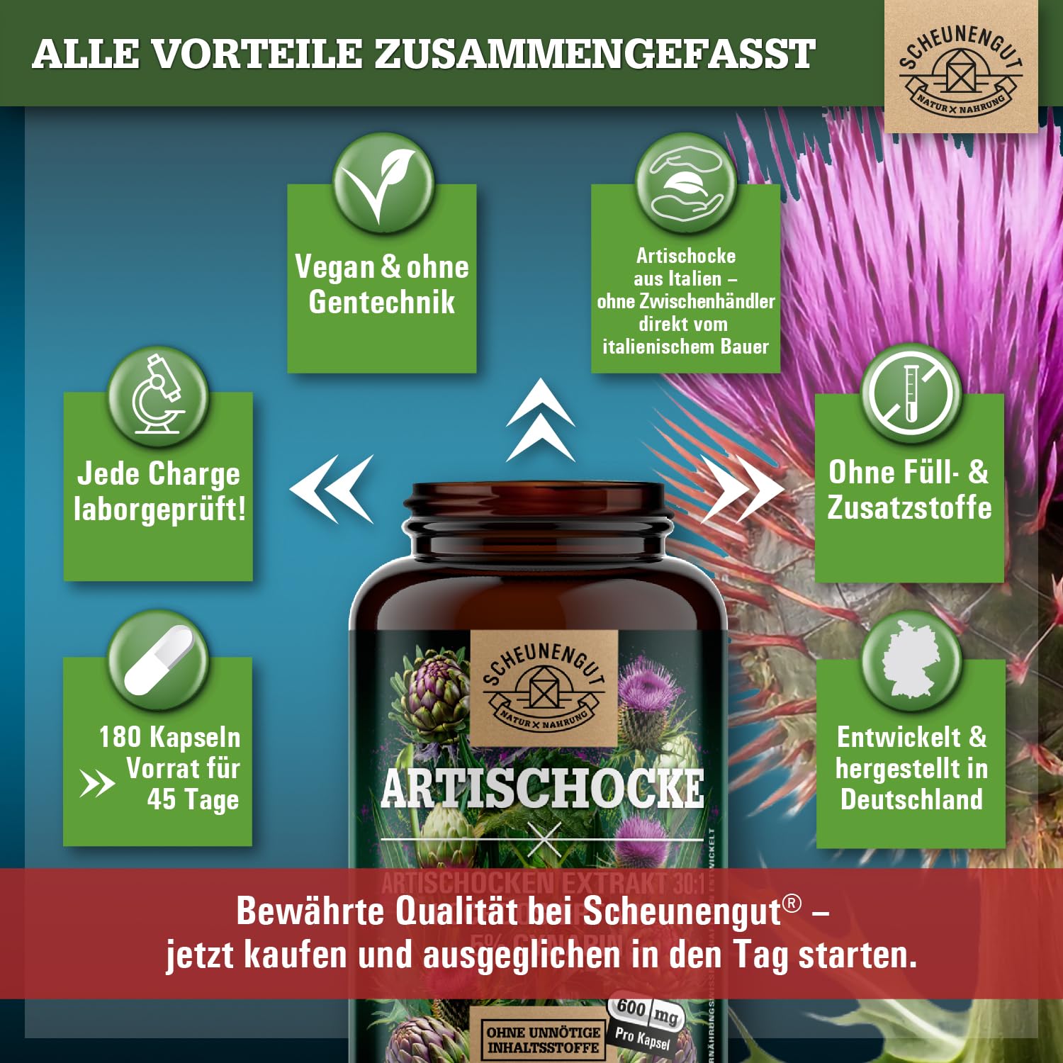 Artischocken Kapseln Hochdosiert 2400mg -WICHTIG: 30:1 Extrakt (=72000mg reine Artischocke je Tagesdosis) +5% Cynarin -Artischockenextrakt- Artischocken Kapseln DE SCHEUNENGUT®