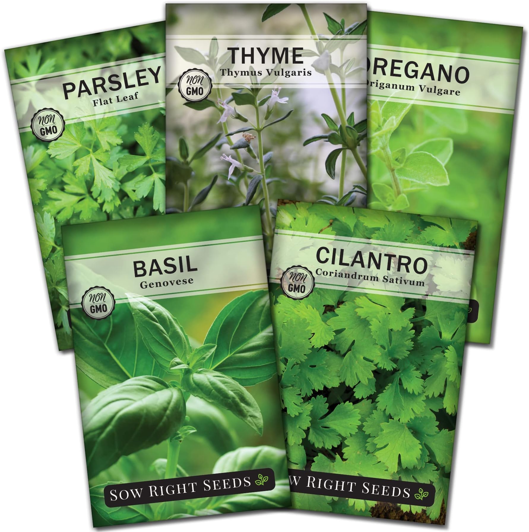 Hydroponic Herb Seeds for Planting - Basil, Thyme, Cilantro, Parsley & Oregano Seeds for Planting and Growing a Hydroponic Garden Indoors - Perfect for Your Growing Tower or System
