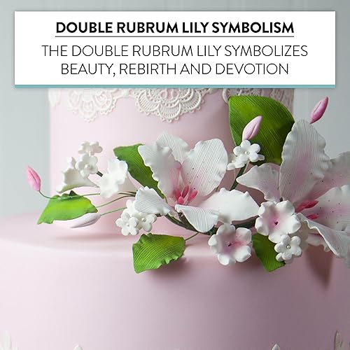 Miniatura 5 de Global Sugar Art Double Rubrum Lily Sugar Cake Flowers - Espray para decoración de tartas, blanco con rosa, 1 unidad por Chef Alan Tetreault
