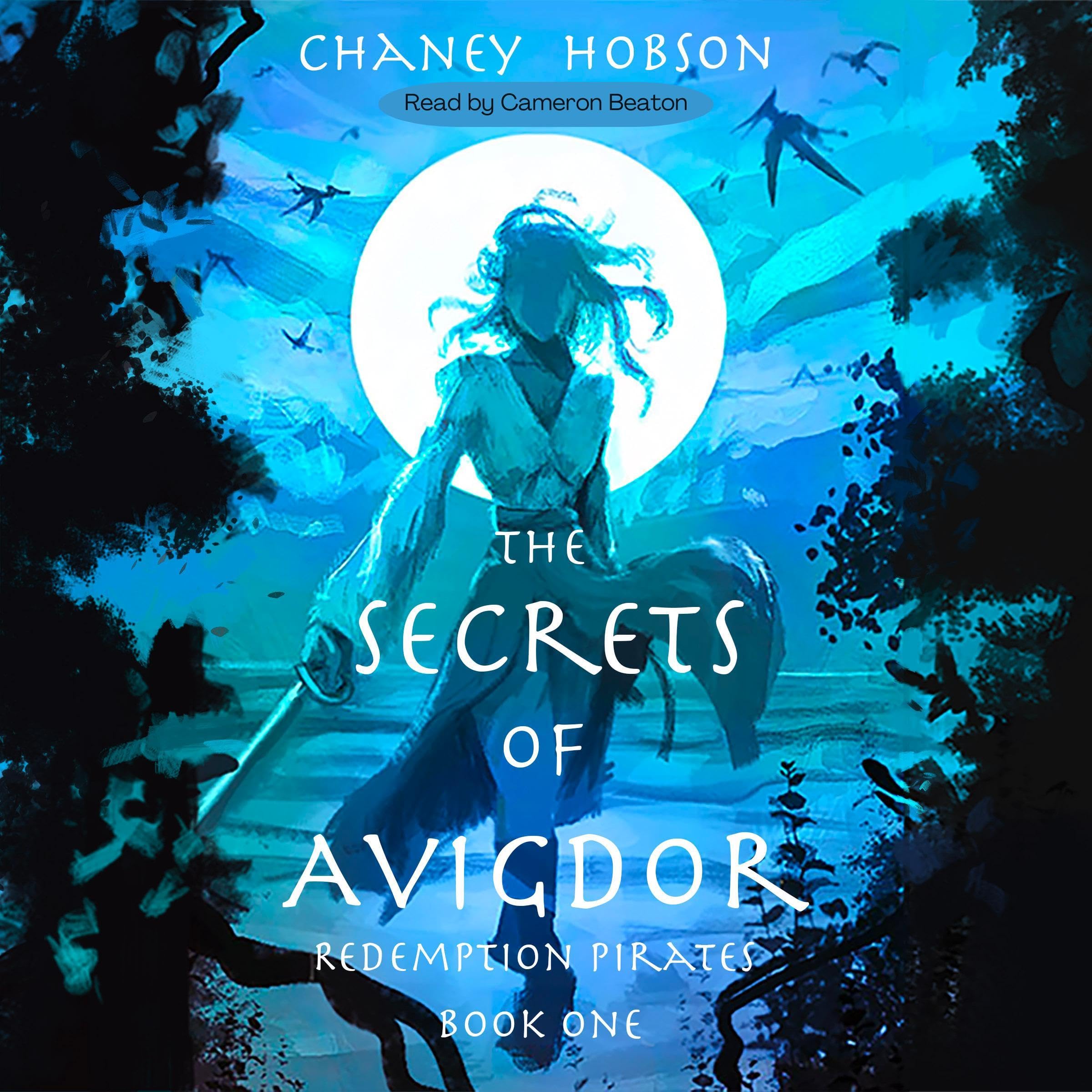 Cover art for The Secrets of Avigdor