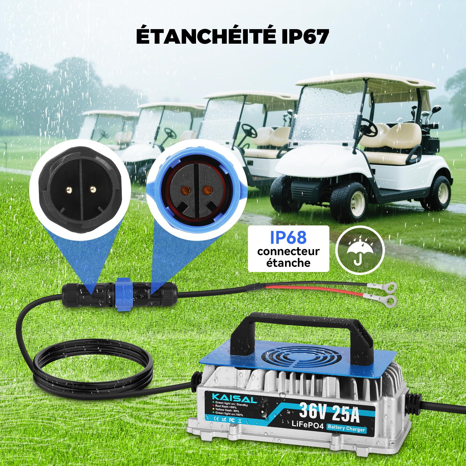 KAISAL 43.8V 25A Chargeur de Batterie LiFePO4 pour 36V(38.4V) Batterie LiFePO4, 0V Activation Chargeur Batterie Lithium 36V, IP67 étanche，pour Voiture de Golf, RV et énergie Solaire