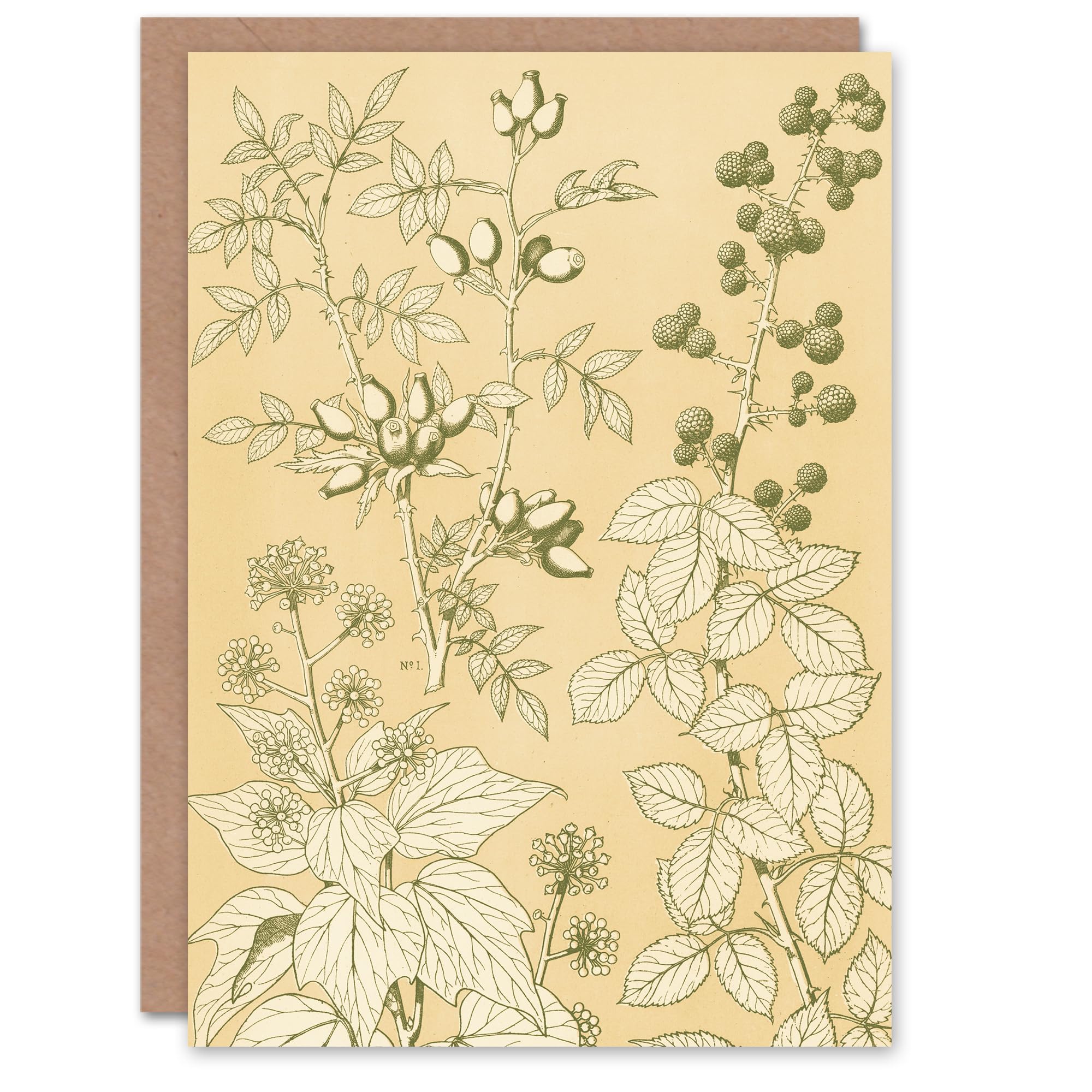 Artery8 Greeting Card Wild Rose Ivy Blackberry Botanical Beige