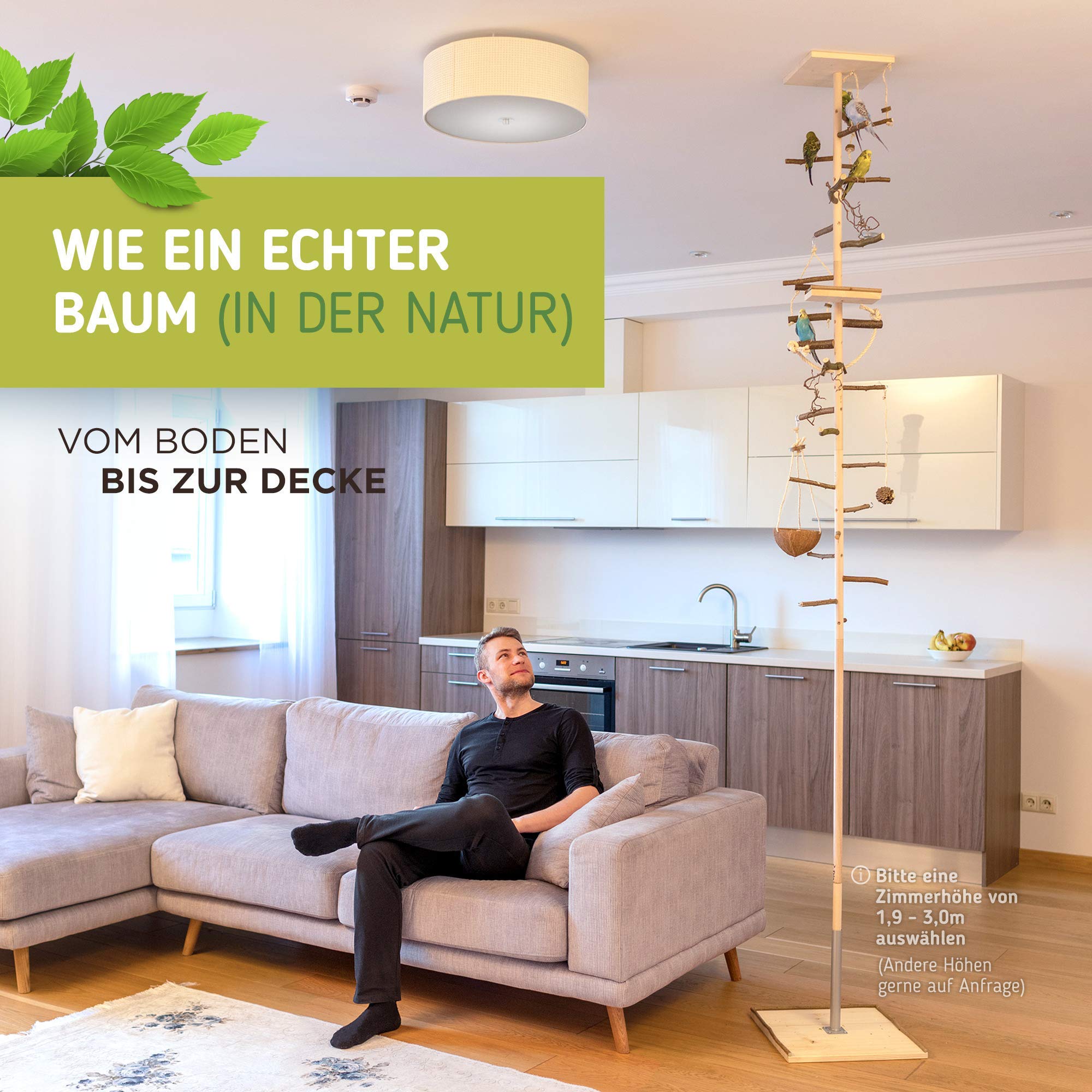 Vogelgaleria® Zimmerhoher Vogel-Kletterbaum 250-252 cm HiFly Medio mit Naturholz-Sitzstangen, Vogelspielzeug Vogelschaukel Vogelspielplatz Freisitz Freiflug Landeplatz für Wellensittich Nymphensittich