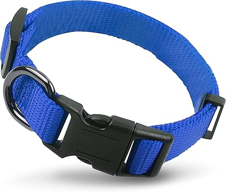 embroidered dog collars amazon