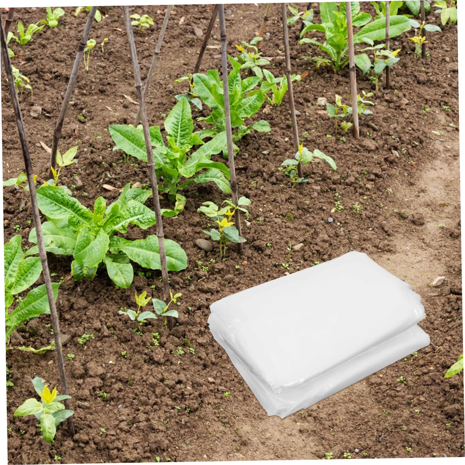 TOYANDONA Pellicola Antighiaccio per Piante da Giardino in PE | Copertura per Mini Teli e Tunnel, Adatta anche Finestre, Film Bianco per Protezione dal Gelo