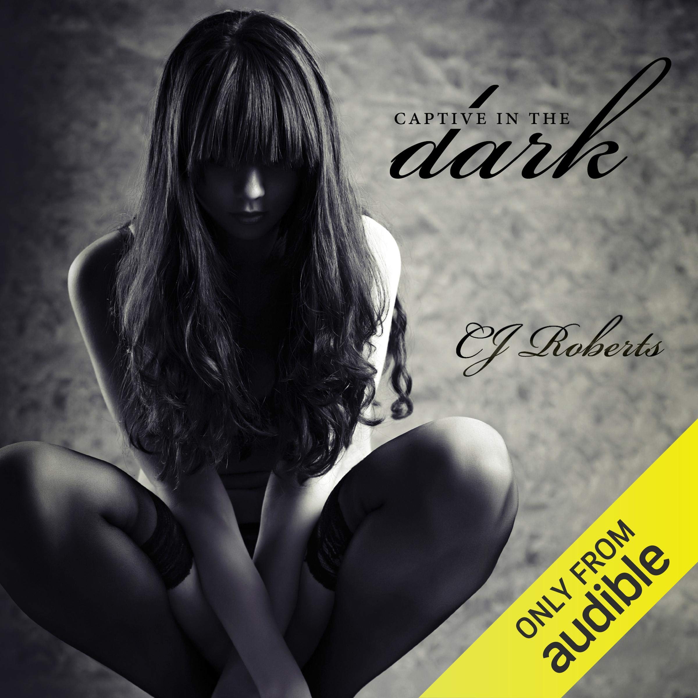 Cover art for Captive in the Dark