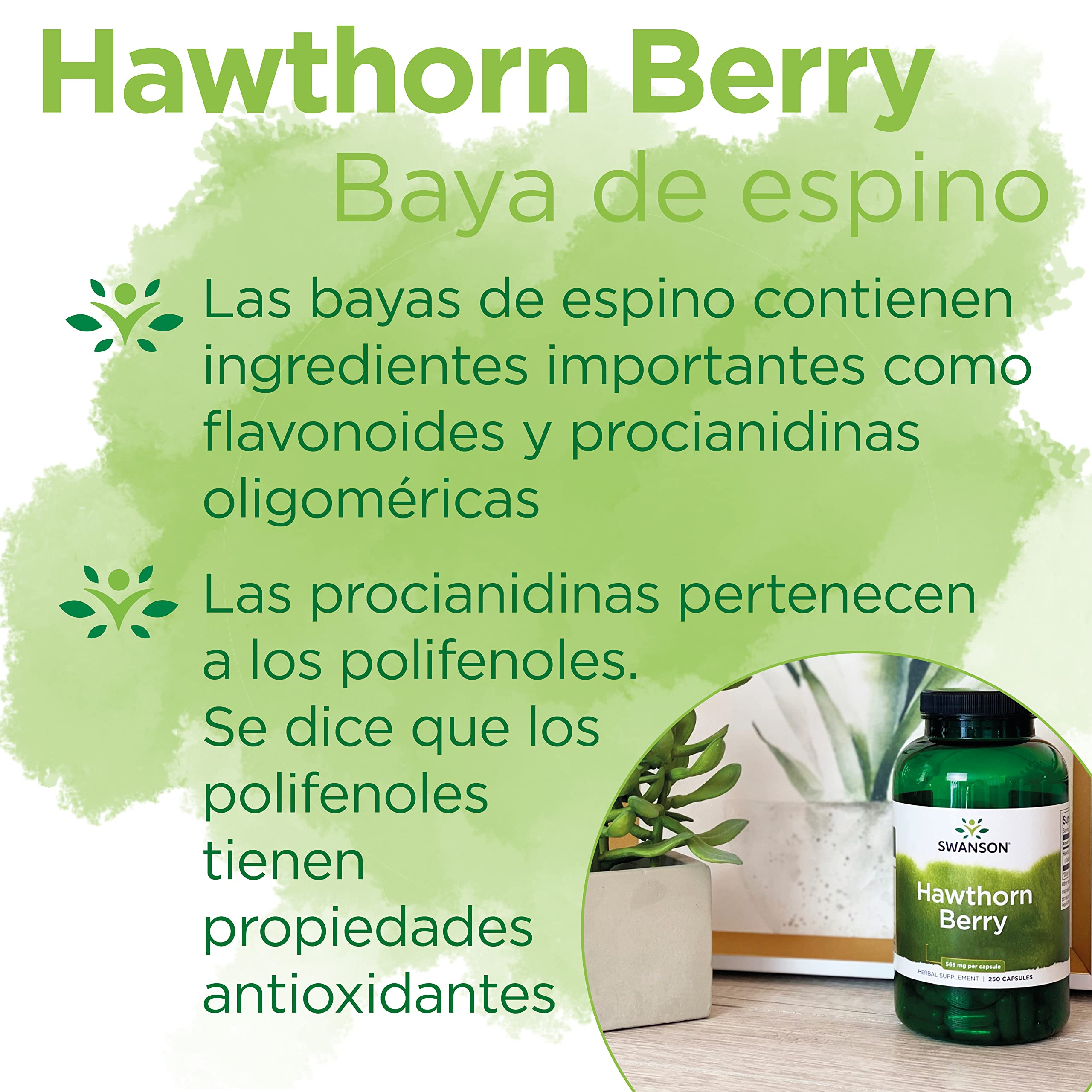 Swanson, Hawthorn Berry (Baya de Espino), 565mg, 250 Cápsulas, Alta Dosis, Probado en Laboratorio, Sin Soja, Sin Gluten, No GMO
