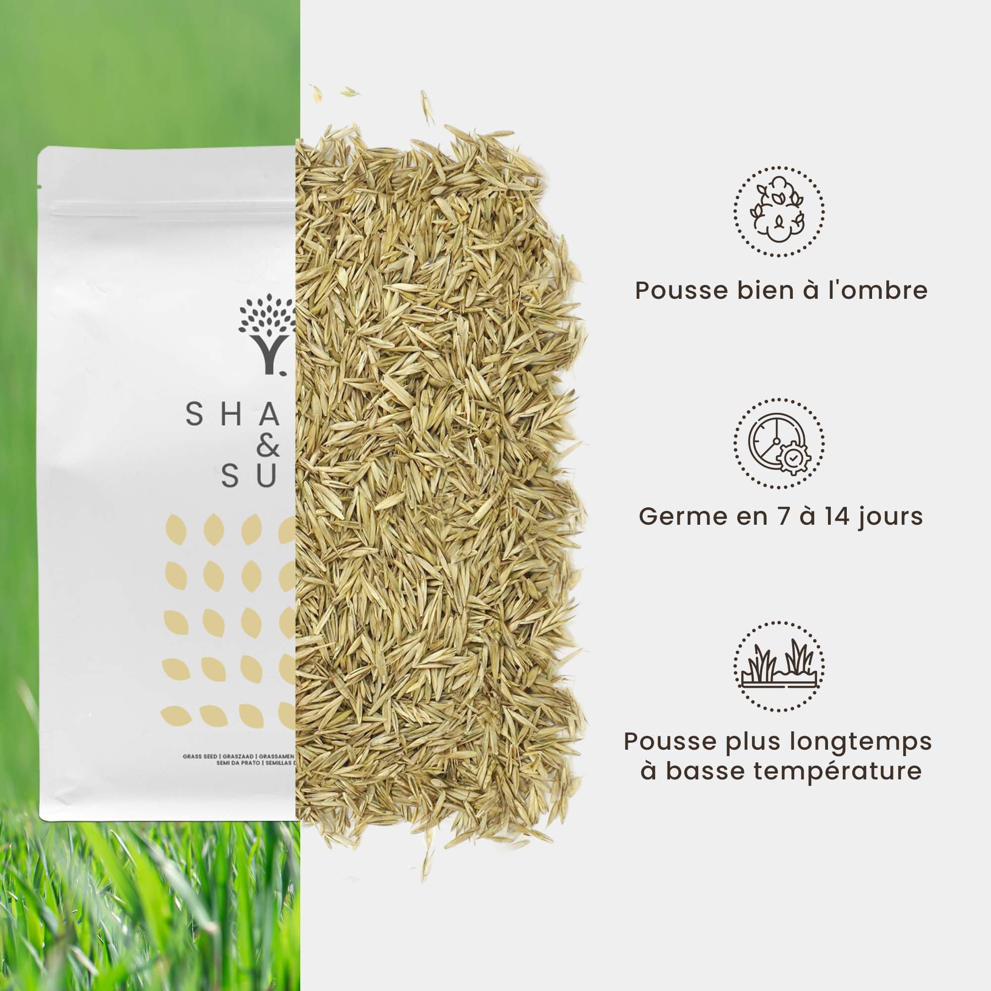 MOOWY Shade & Sun Gazon Ombre 100 M² - Semences De Pelouse Qui Poussent Bien Au Soleil Et à L'Ombre - Avec Revêtement Pour Une Germination 38% Plus Efficace