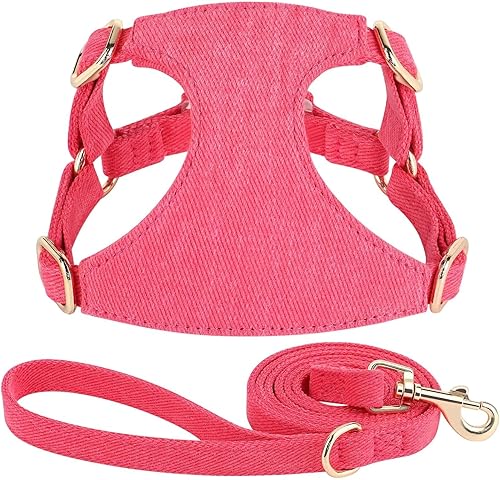 Miniatura 8 de Didog Juego de arnés y correa para perro pequeño, suave y lindo arnés para perros pequeños, arnés ajustable para perros pequeños, arnés para perros