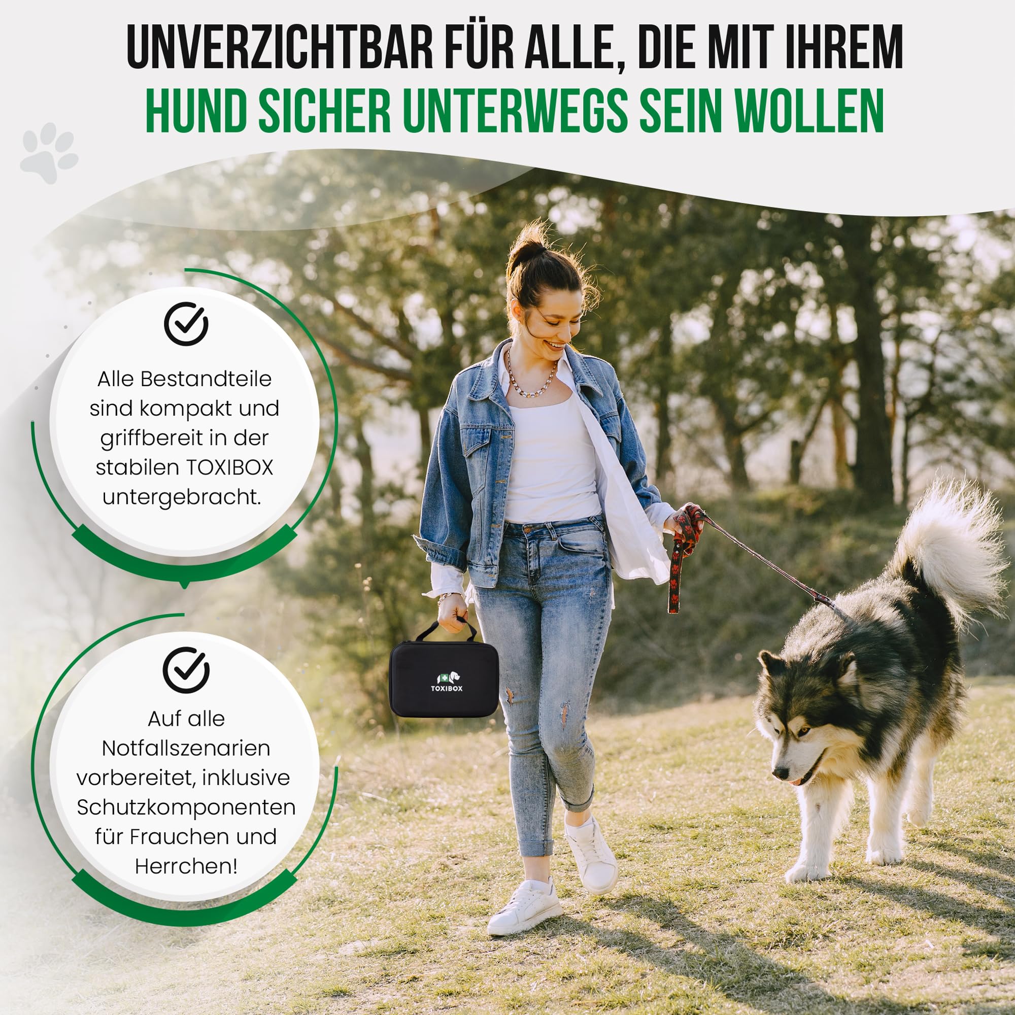 Erste Hilfe für Hunde bei Vergiftung durch Giftköder, Pflanzen & Haushaltsgifte | Mit flüssiger Aktivkohle, Giftfibel, Notrufnummern, Schutz für Halter & mehr – MHD 31.08.2027