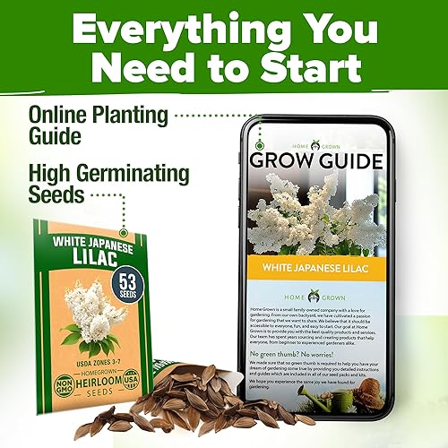 Miniatura 185 de HOME GROWN Semillas de girasol para plantar Más de 520 semillas de girasol de mamut gigante para plantar paquete a granel reliquia, alta