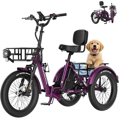 MOONCOOL Foldable Electric Tricycle for Adults, 20" Aluminum E-Trike with Reverse Function & Long Range Options, Rear Differential, Front Suspension, 450 lbs Max Payload, 95% Pre-Assembled
