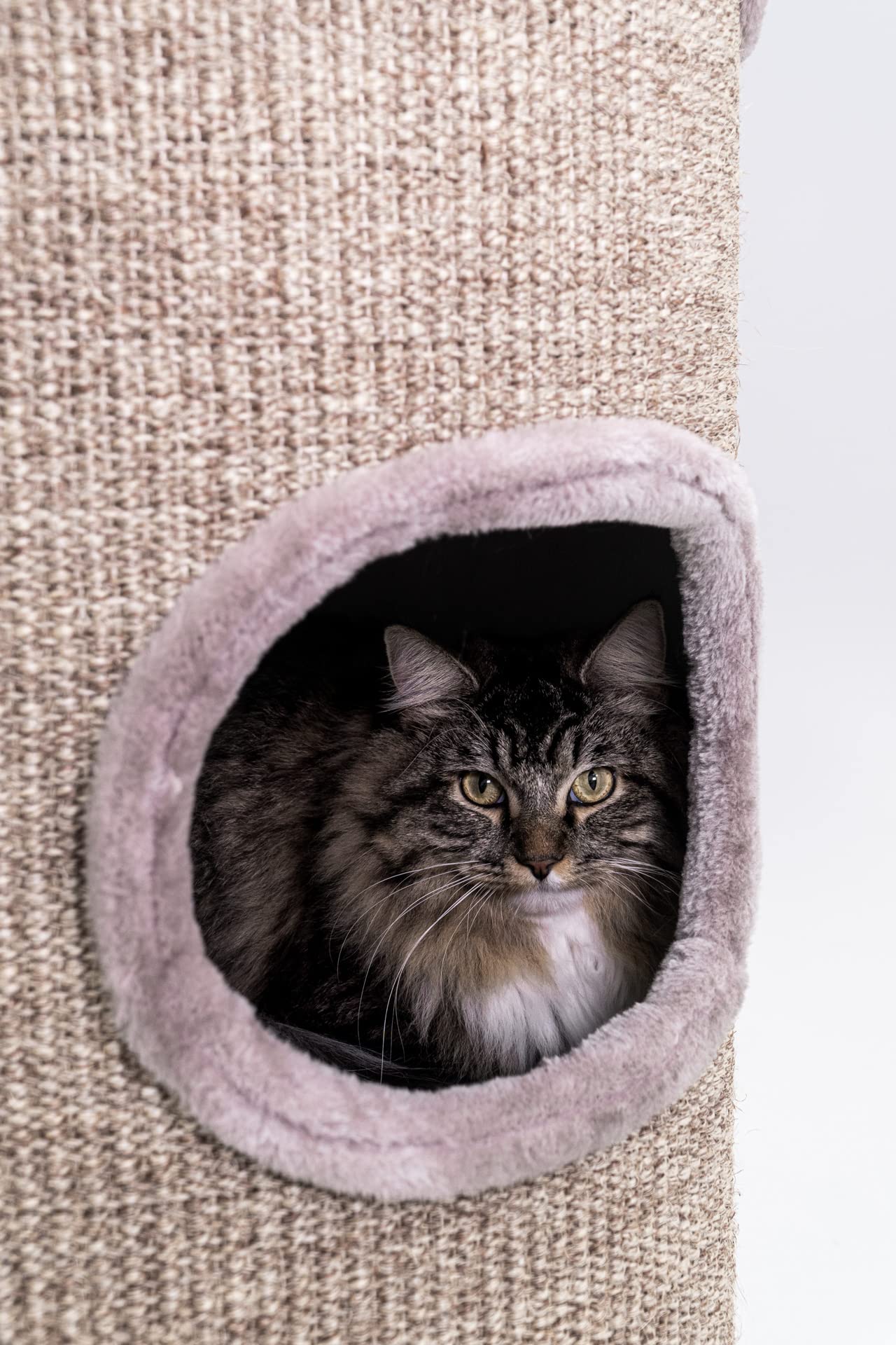 Petrebels Tiragraffi per gatti, XXL, 110 cm, con 3 ingressi, in sisal, extra largo, Ø 45 e pesante per la stabilità, cupola 110, cupola per gatti e torre da arrampicata per gatti, cappuccino