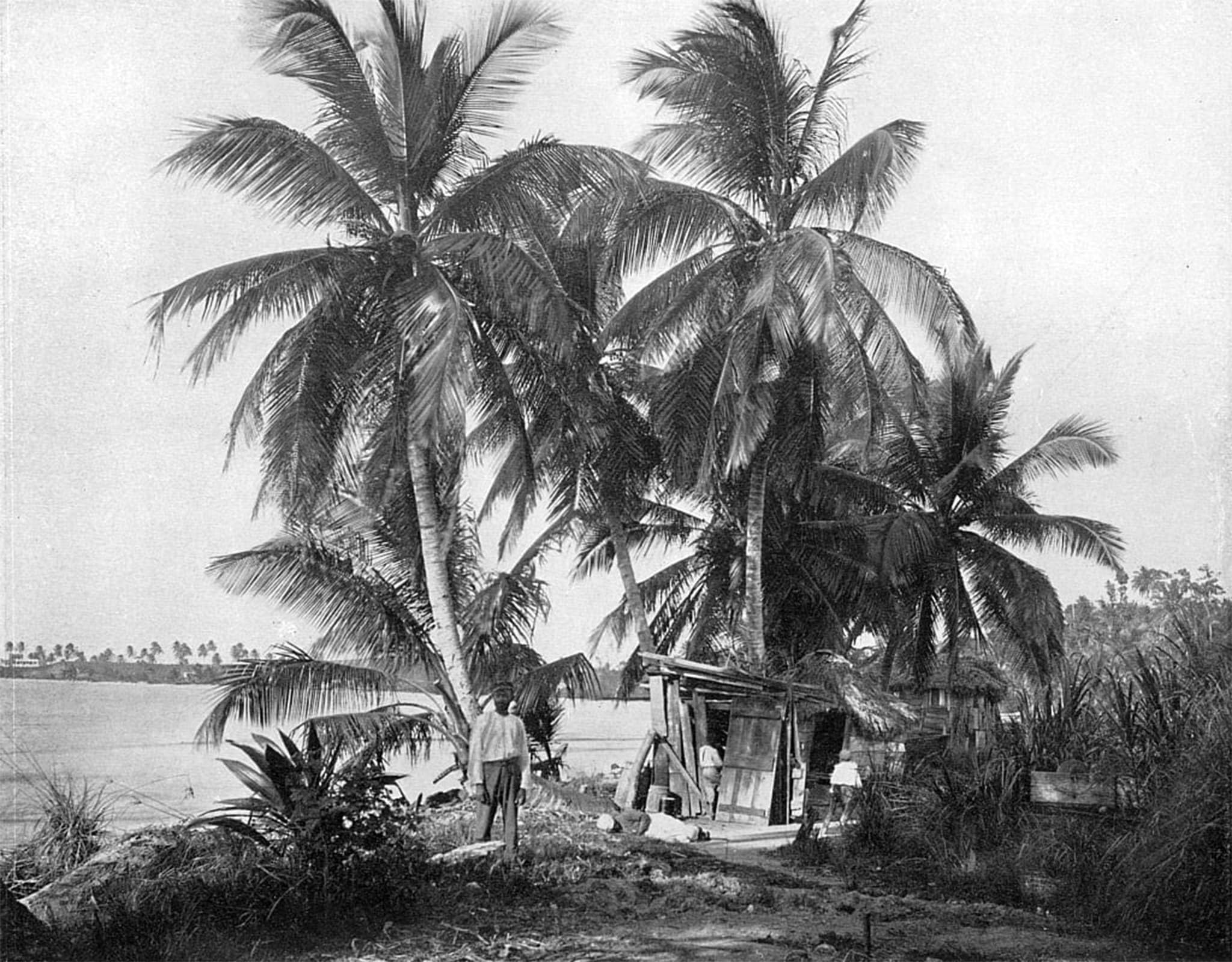Carteles retro de Port Antonio para dar un toque clásico y viajero a tu salón 5
