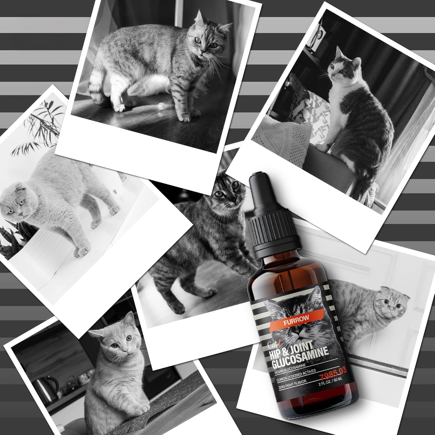 Furrow Cat Hip & Joint Glucosamine Supplement, Chicken Gravy Flavor – Liquid Glucosamine with MSM, Chondroitin, Taurine & Hyaluronic Acid – Supports Mobility & Joint Comfort in Cats 40 Pack