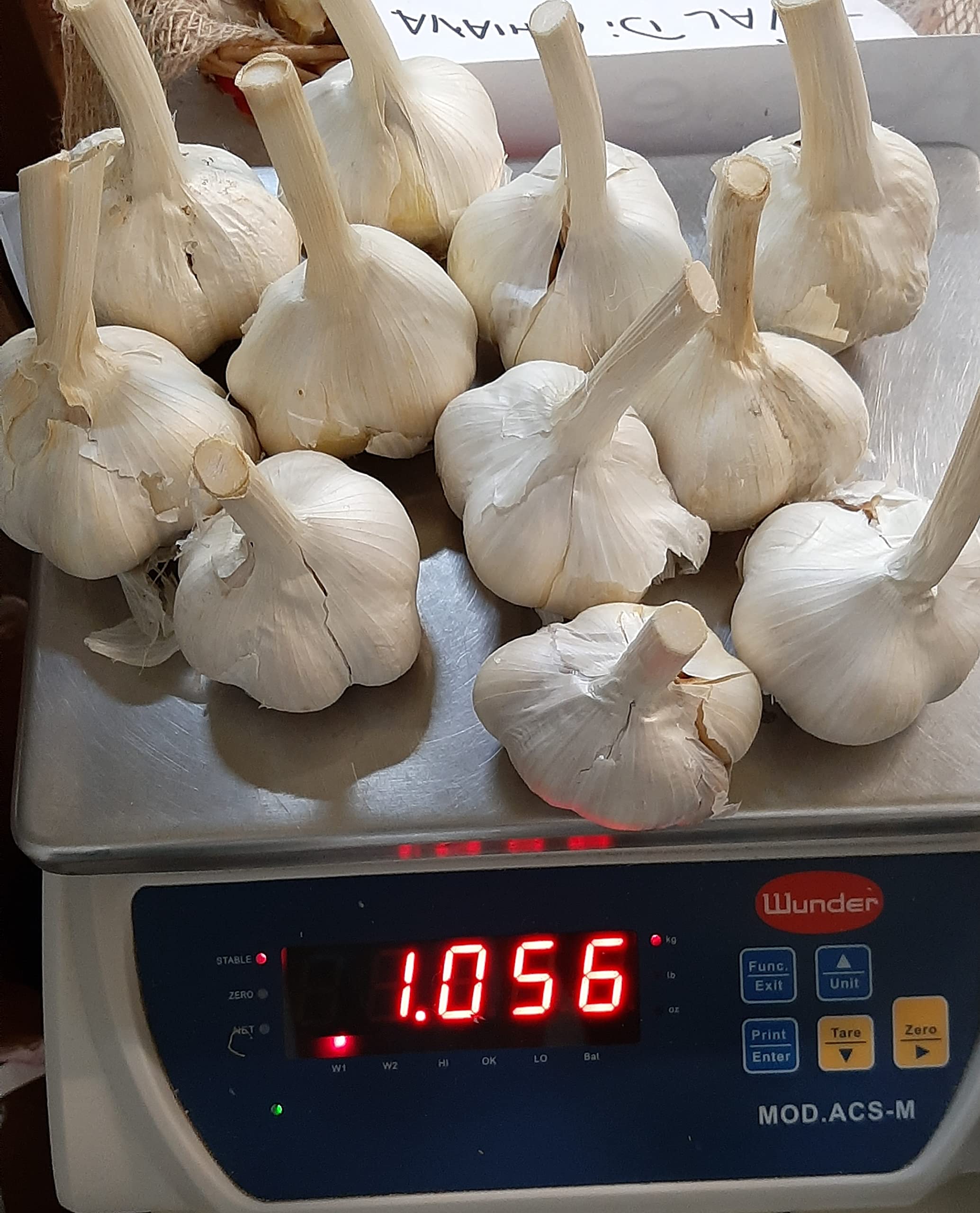 AGLIONE DELLA VAL DI CHIANA KG 1 CAPI INTERI TAGLIA PICCOLA. IN OMAGGIO UNA CONFEZIONE DI PASTA DEI COLTIVATORI TOSCANI