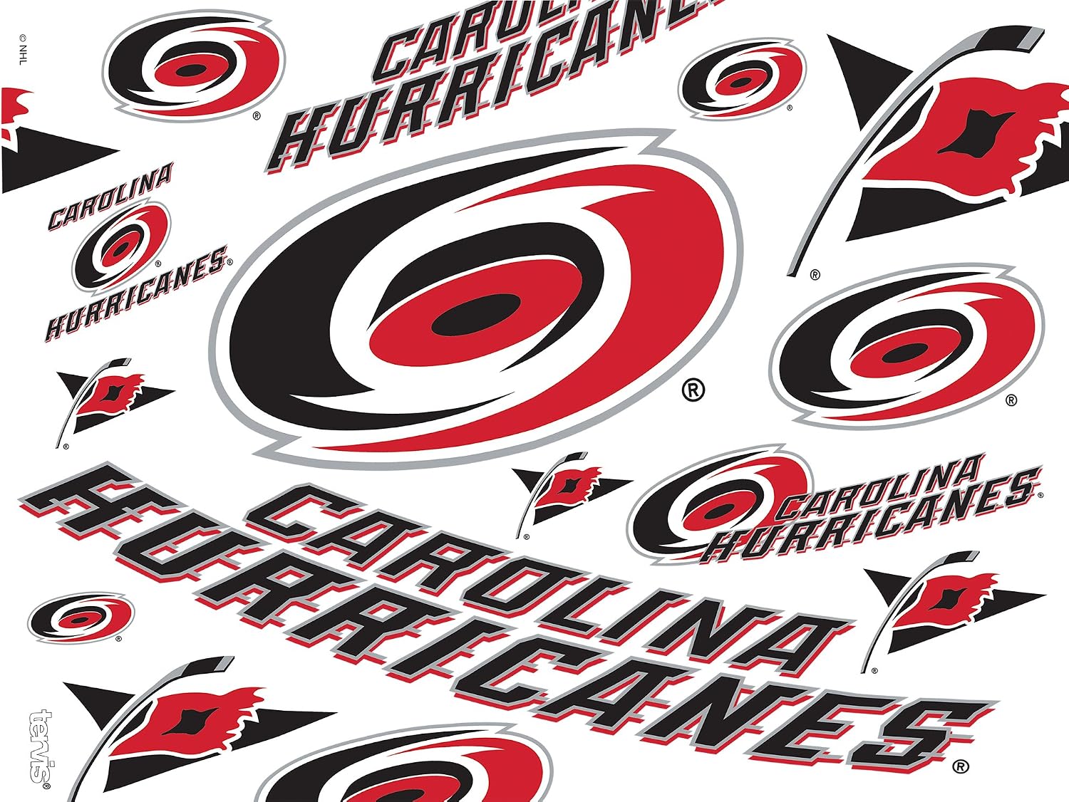 Best Promo Tervis Made in USA Double Walled NHL Carolina Hurricanes Insulated Tumbler Cup Keeps Drinks Cold & Hot, 24oz, All Over