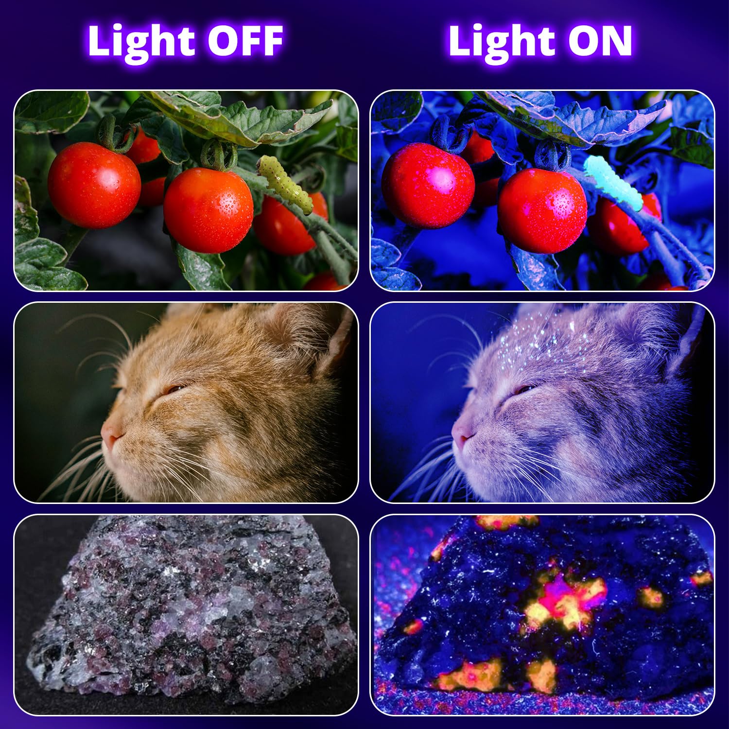 365NM Schwarzlicht LED Strip, 15W Schwarzlichtlampe Bar, Verkettbare UV-Schwarzlichtleisten mit Schalter für Uranglas Mineralienausstellungen, Leuchtpartys, Halloween, 2er-Pack
