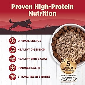 What Huskies Should Eat Best: A Complete Nutrition Guide 8 81WS9OONlHL. AC SL289