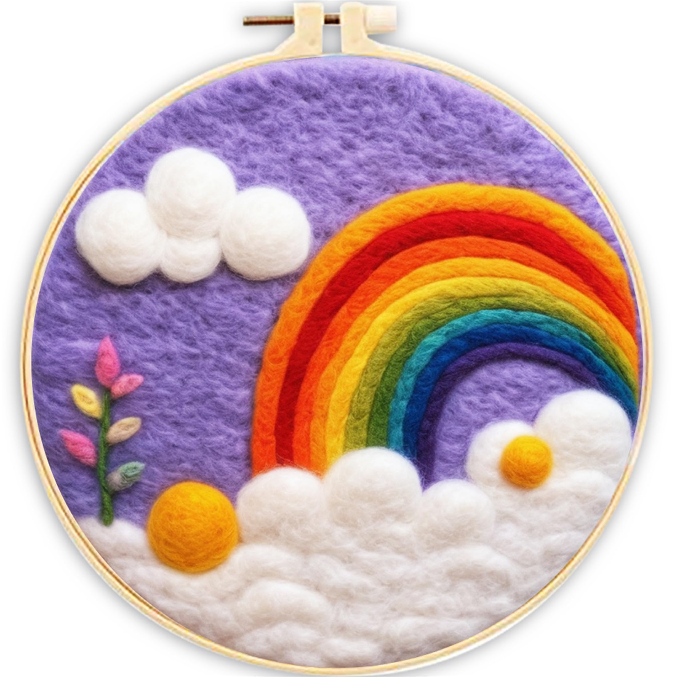 SARBUTER Needle Felting Kits, DIY Wool Felt Starer Needle Felting Embroidery Kits for Beginners ，Suitable for Giftware Home Decoration (Rainbow White Clouds)