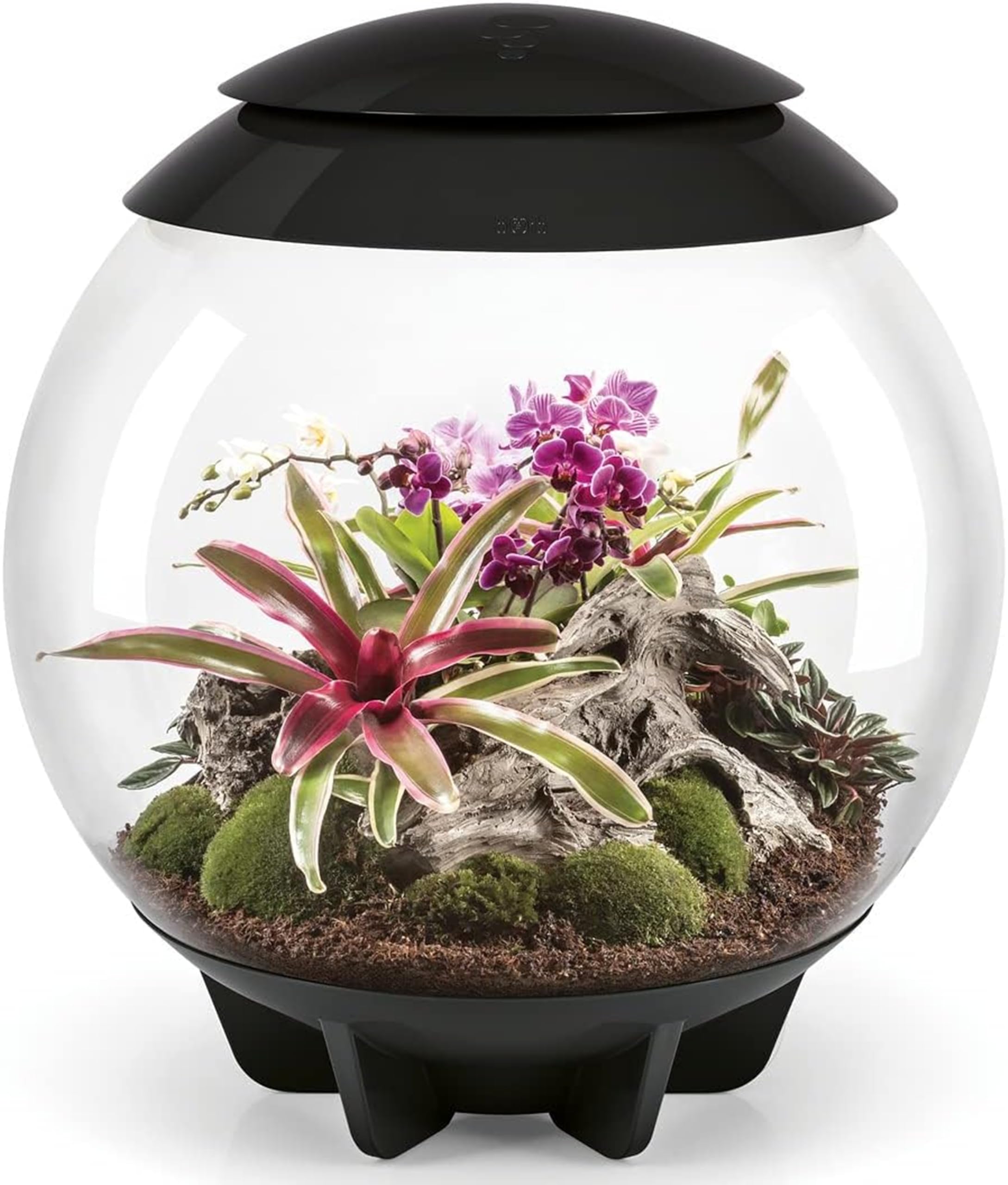 Oase Biorb Air 60 Litre Automatic Terrarium In Black With Led Lighting from B&Q