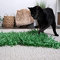 Vista 3 de Instincts by SmartyKat - Juego de 2 alfombrillas de papel para gatos Meadow Mayhem Hide & Seek, color verde, paquete de 2