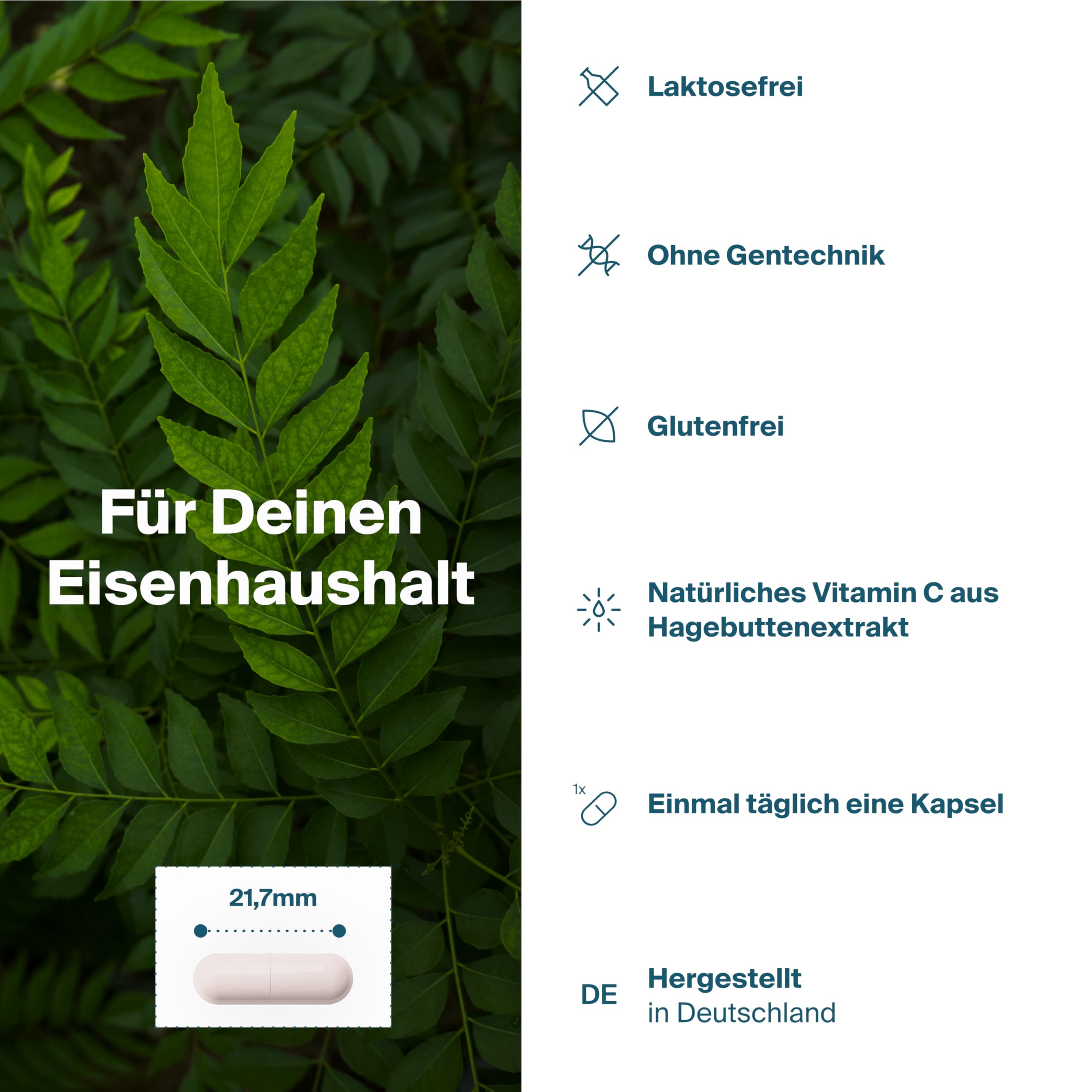 Natürliches Eisen mit Lactoferrin CLN® & Vitamin C | 30 Kapseln | optimale Eisenaufnahme & gute Verträglichkeit | Eisenpräparat bei Eisenmangel | Ohne künstliche Zusätze | NATURAL IRON