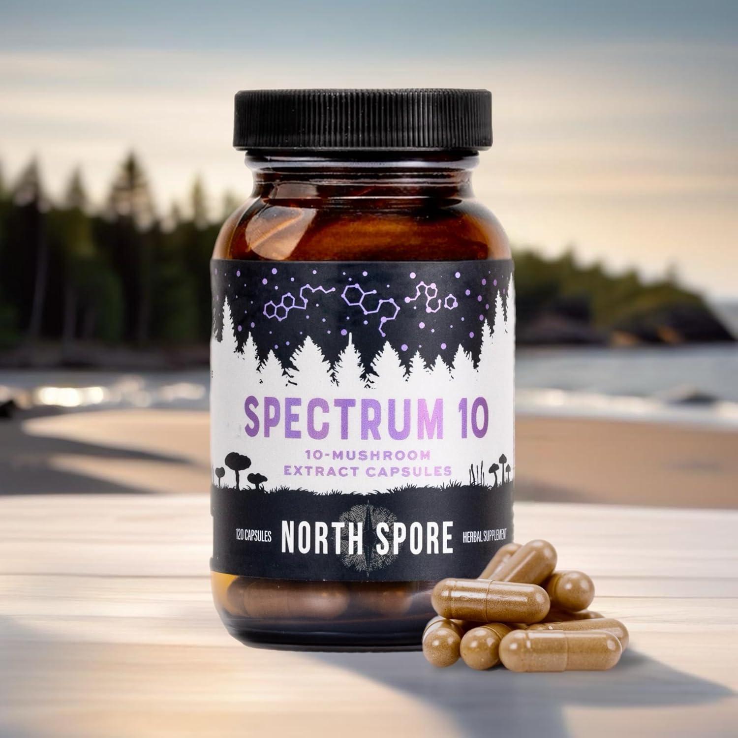 North Spore Organic 'Spectrum 10' Mushroom Extract Capsules | Cognitive Supplement | Lion's Mane, Chaga, Cordyceps, Reishi, Turkey Tail | 10 Medicinal Mushrooms | Energy, Focus, Clarity - 120 ct - Image 2