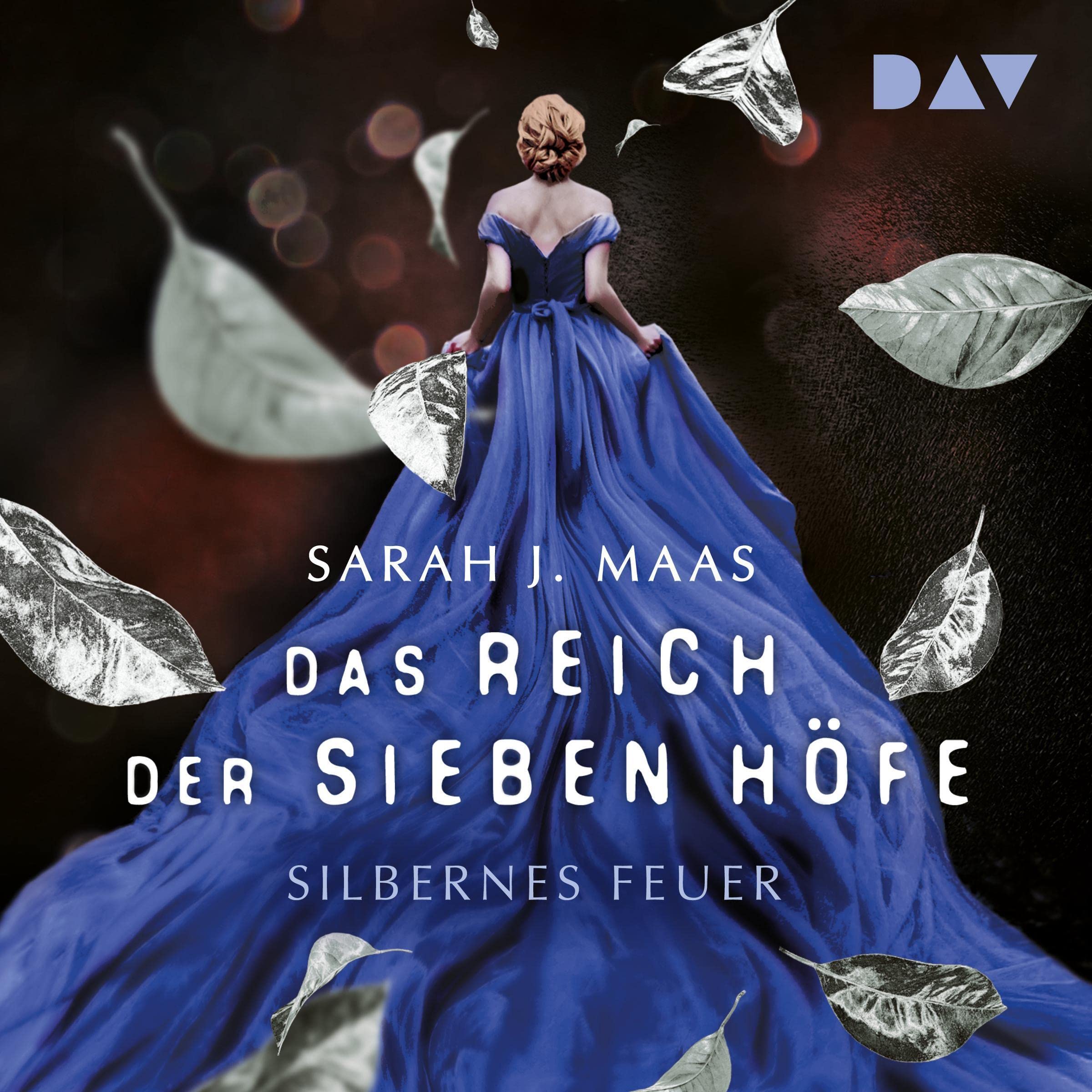 Cover art for Silbernes Feuer