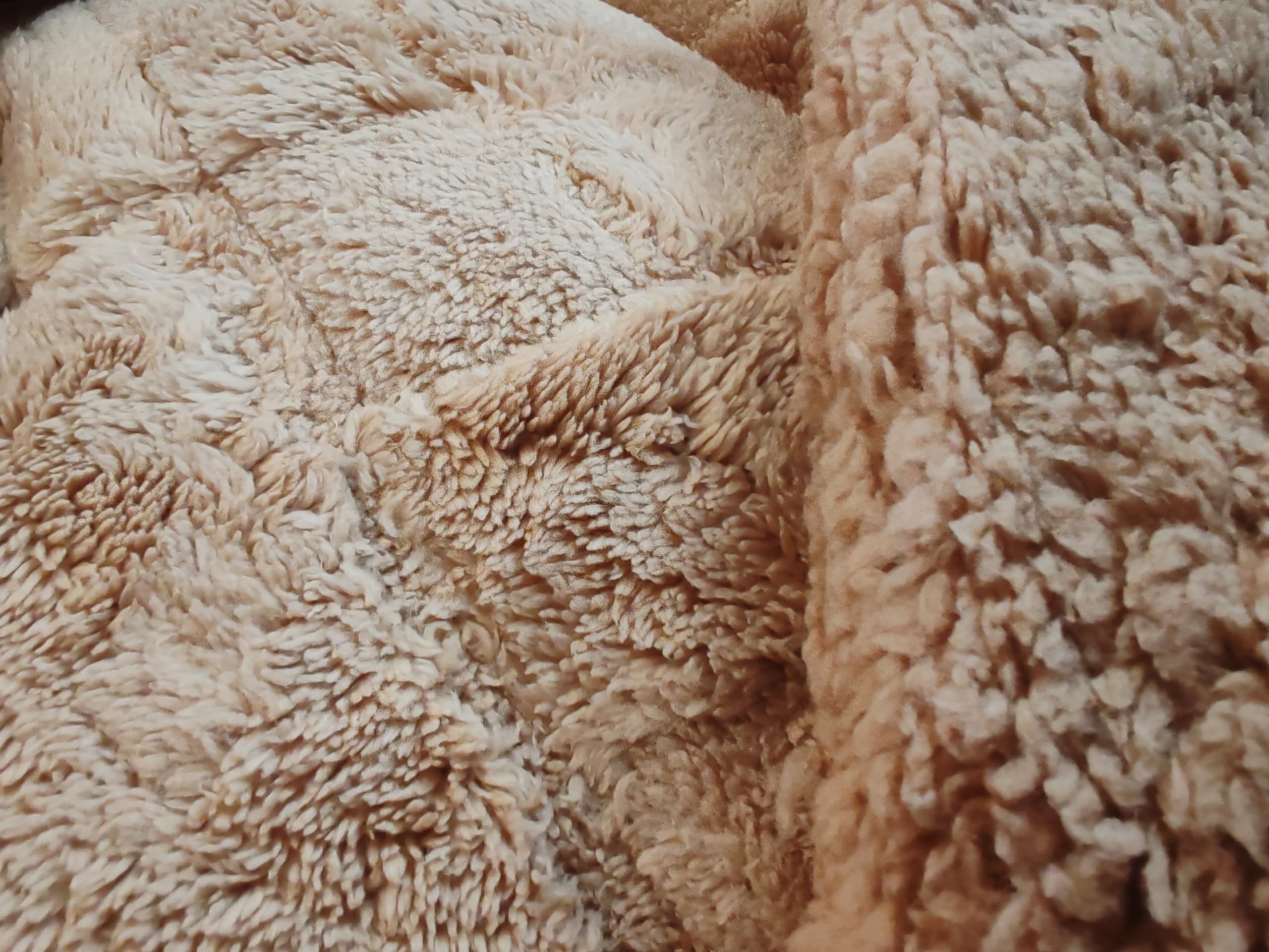 NH NOVOTEXTIL HOGAR Edredón Invierno Sherpa Cama 135 (230x260) Extra Grueso 560gr/m2 Efecto Borreguito - Edredón Suave, Cálido y Transpirable con 2 Fundas Almohada (50x70) (Poltava Beige)