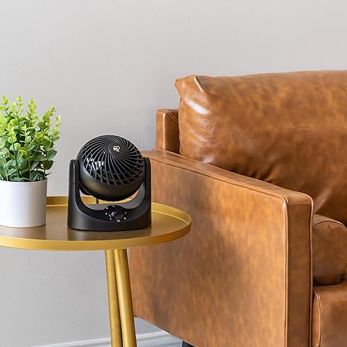 Miniatura 8 de IRIS USA WOOZOO Ventilador de escritorio, circulador de aire, 3 velocidades, distancia máxima de aire de 32 pies, inclinación ajustable de 112,