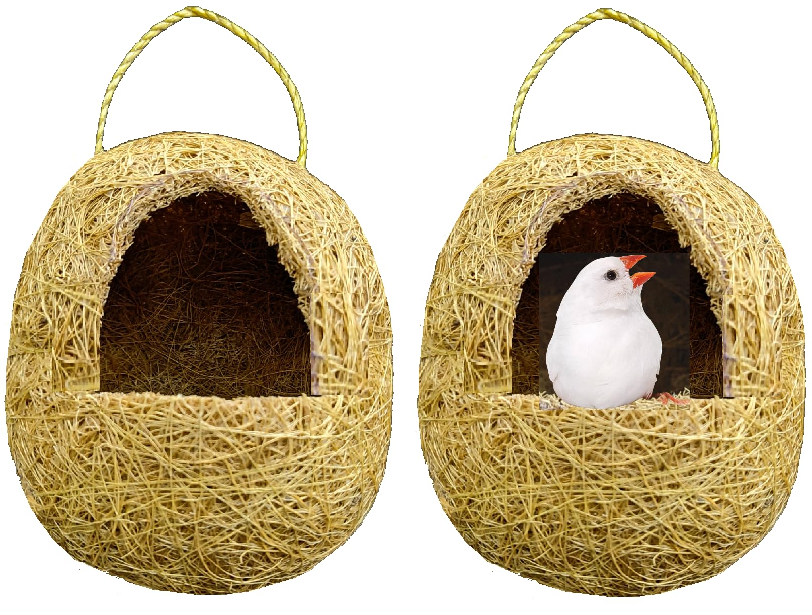 ZENRISE Coir Bird Nest Hanging House for Balcony and Cage - 14 x 12 cm, Cylinder Oval, Beige, 2 Pack-image-38