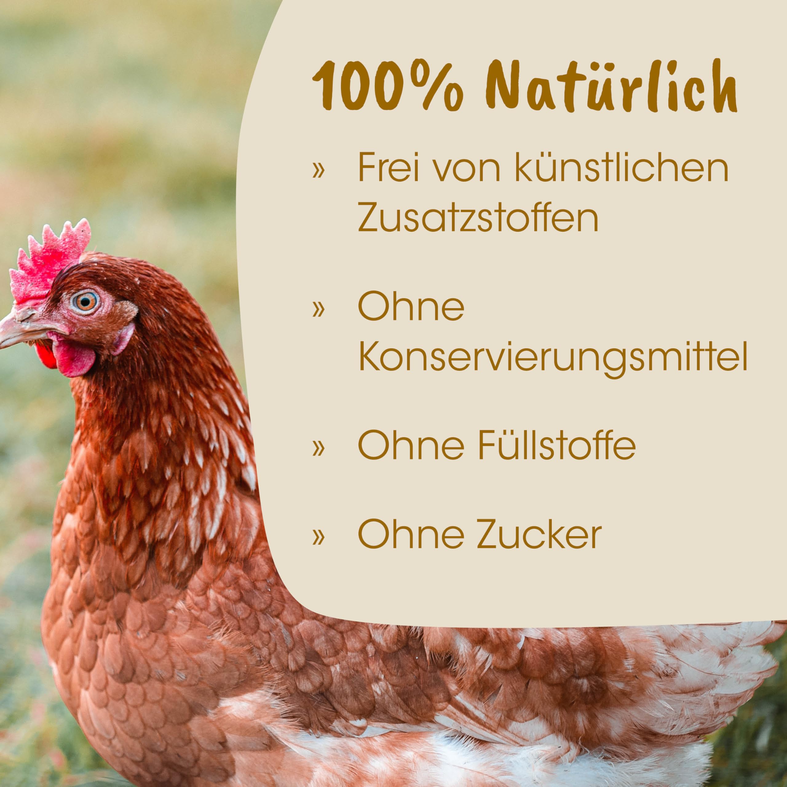 Privet DarmFlora 2,5l für Wiederkäuer, Esel, Schweine, Geflügel, Kaninchen