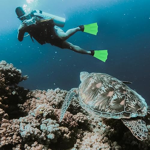 Miniatura 4 de KESYOO Aletas de entrenamiento de natación de goma para adultos, aletas cortas unisex, ligeras, cómodas, equipo de natación para piscina