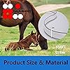 Product Photo 4