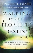 Cover of Walking in Your Prophetic Destiny: How to Work with The Holy Spirit to Fulfill Your Calling