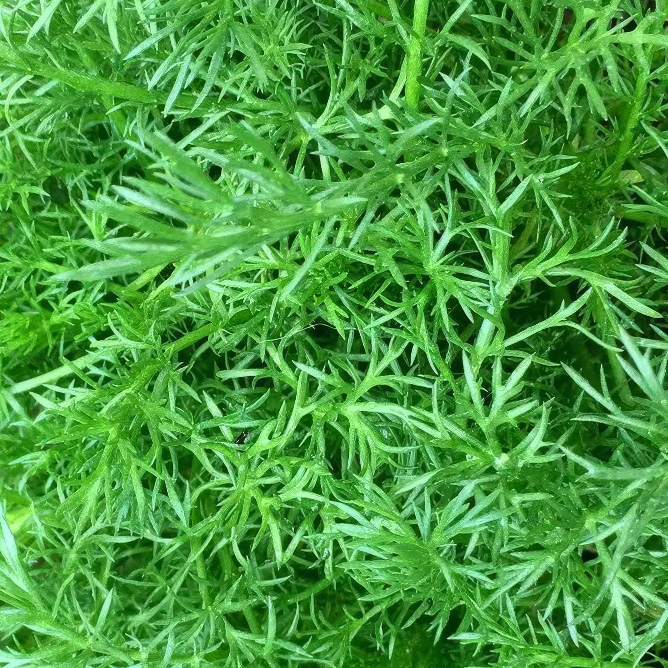 View 3