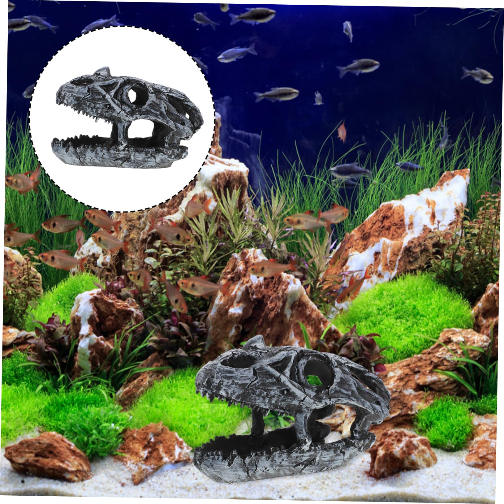 POPETPOP 2 Pièces Ramper Animal de Compagnie crâne esquiver décorations d'aquarium squelettes Decoration Aquarium Ornement d'aquarium de Reptiles cachette d'aquarium Ornement d'aquarium