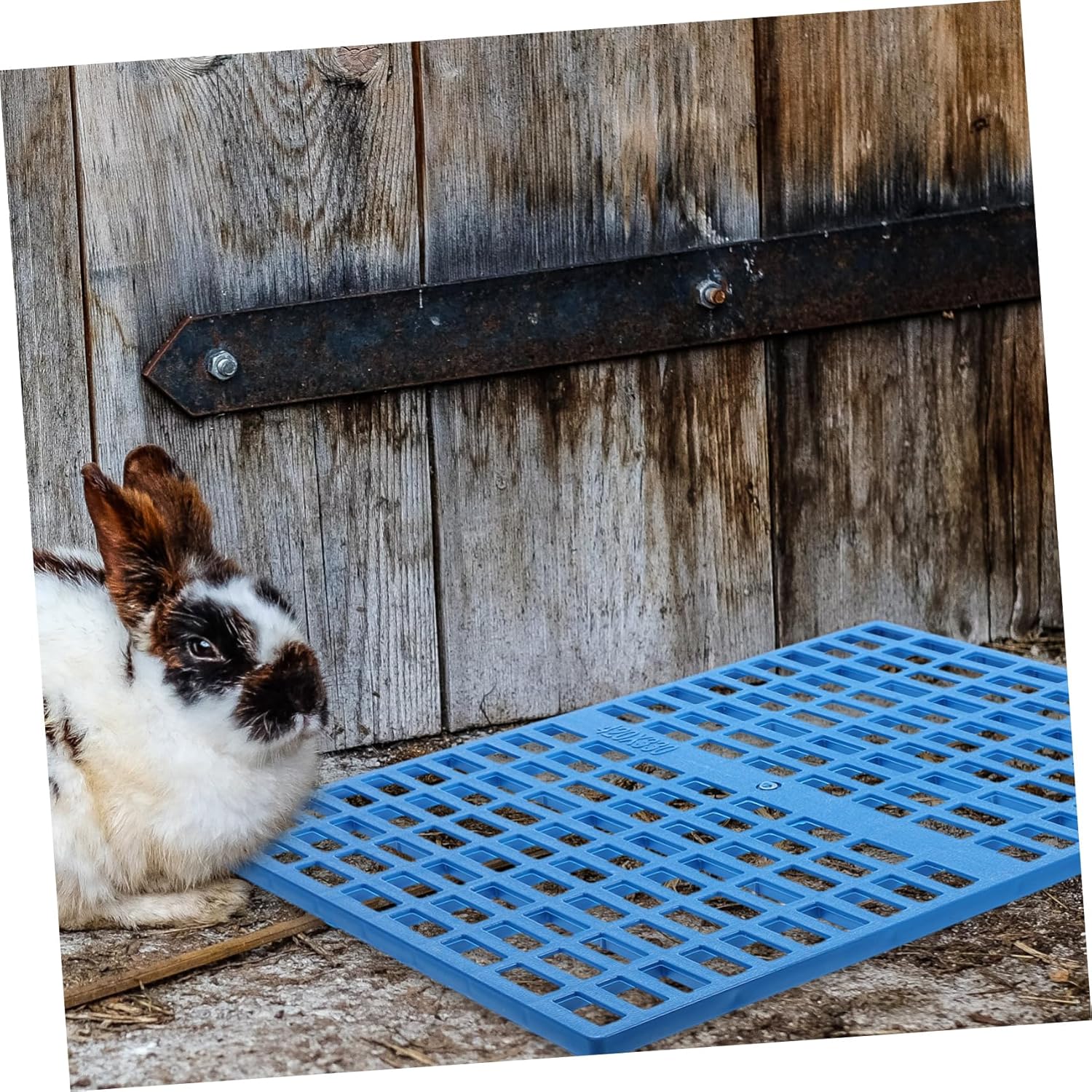 4Pcs Rabbit Cage Mats Leak Feet Pads for Animals Easy to Clean for Bunny Guinea Pig Chinchilla Multi Use Floor Mat for Cages and Home