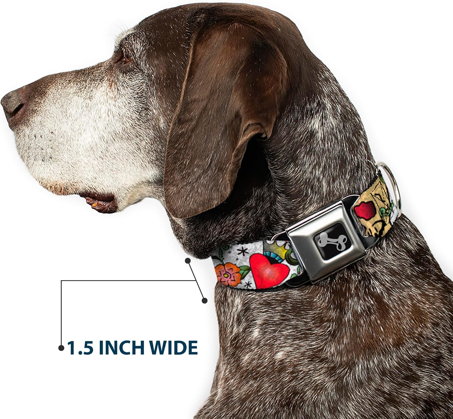 Buckle-Down Seatbelt Buckle Dog Collar - Only God Can Judge Me CLOSE-UP White - 1.5" Wide - Fits 18-32" Neck - Large