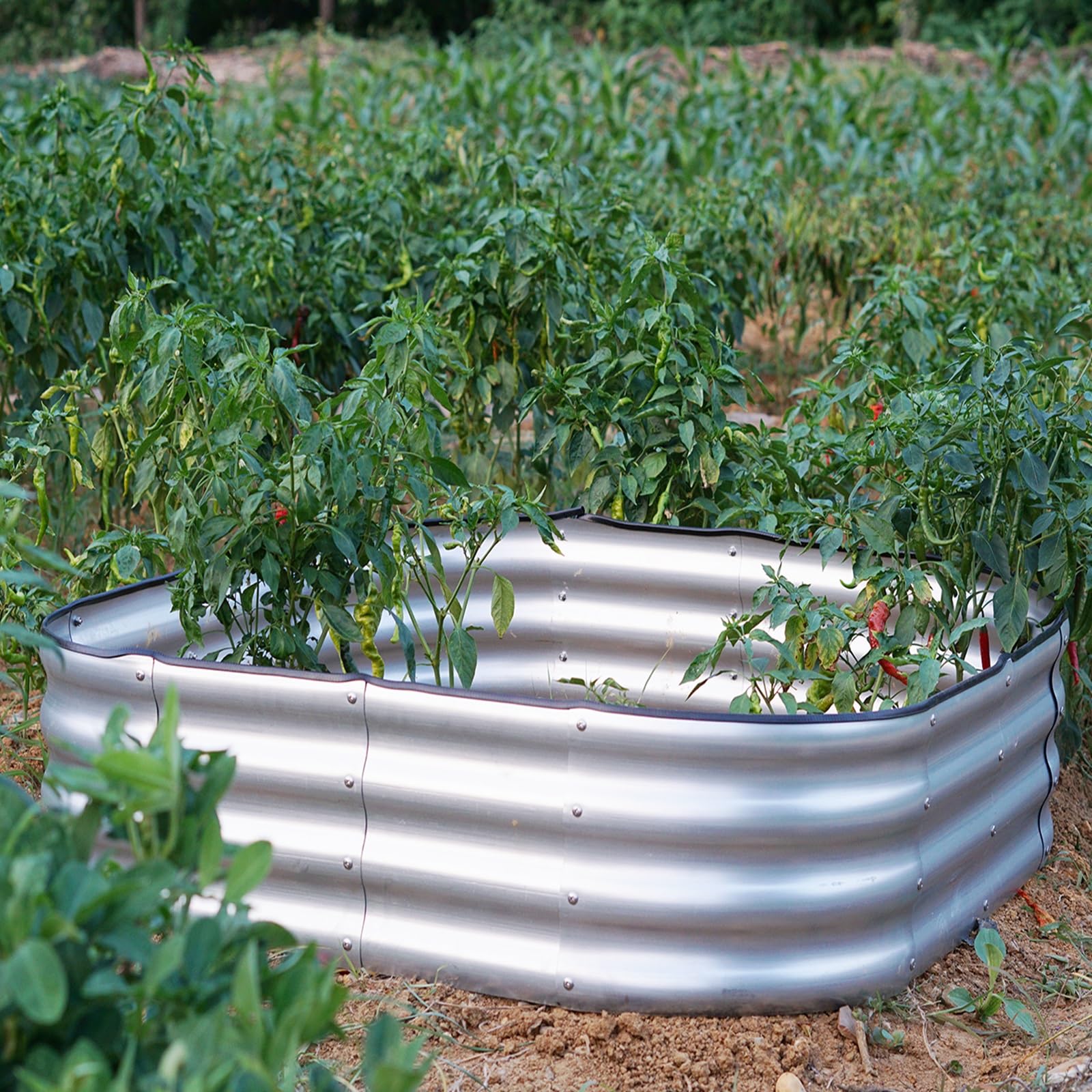 Gr8 Garden Outdoor Raised Bed Planter Square Galvanised Steel Trough 120X120x30cm