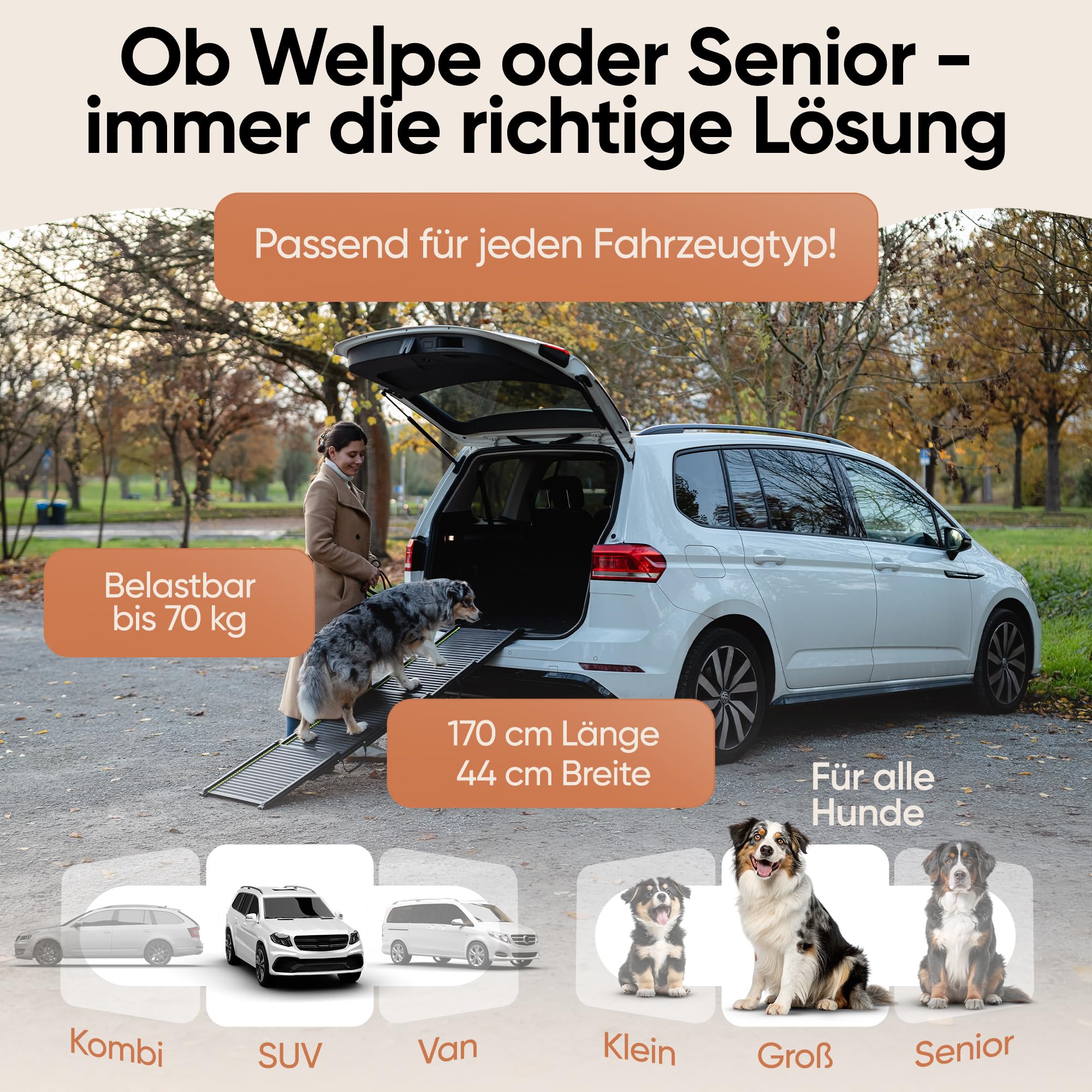Hundetreppe Auto [rutschfestes Gummi] Hunderampe Auto klappbar | Hundetreppe Große Hunde Dog Ramp Dog Stairs Hunde Rampe Auto klappbar [mit Transporttasche] Hundetreppe Rampe Hund NEU 2026