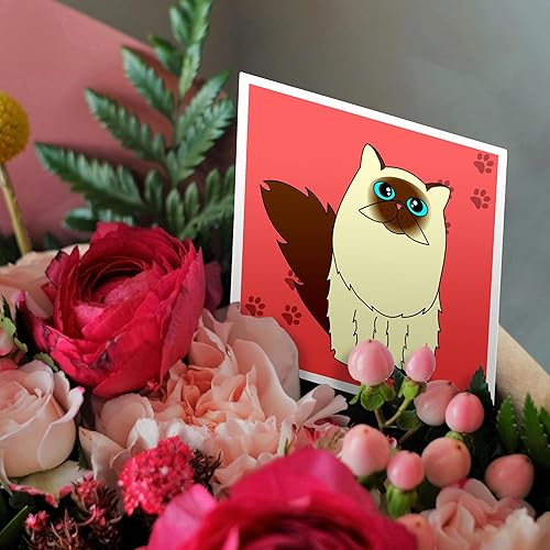 Miniatura 3 de 3dRose Himalayan - Tarjetas de felicitación de pelo largo / gato persa con estampado de patas, 6 x 6 pulgadas, juego de 12 (gc_6112_2)